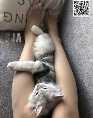 黑人巨大亚洲一区二区久_剧情片日韩电影在线